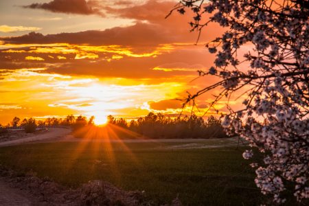 Parque Toledo Atardecer 2016-03-05-32